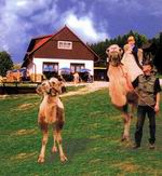 Freizeitzentrum Sv. Kate�ina